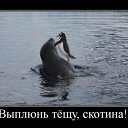 ���� �����, ����������� - ��������� 3 ������ 2010 � ������ �������