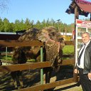 ���� ���������, �������� - ��������� 3 ���� 2013