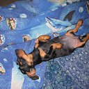 ���� ������, ������������, 60 ��� - ��������� 17 ����� 2011 � ������ �������