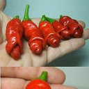 ���� ���������, ������, 61 ��� - ��������� 18 ����� 2013 � ������ ���� ����������