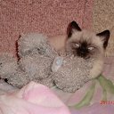 ���� ����, �����-���������, 59 ��� - ��������� 1 ���� 2013 � ������ ����� ��� ������������