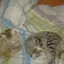 ���� ��������, ��������, 48 ��� - ��������� 20 ��� 2012 � ������ ����������