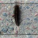 ���� ����, �������, 29 ��� - ��������� 29 ���� 2012 � ������ �������