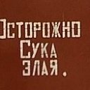 ���� �������, ������, 43 ���� - ��������� 8 ������� 2011 � ������ ���������