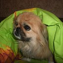 ������ ��� ������� �� ������� ����� ��� ������������