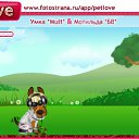 ���� ������, ������ - ��������� 23 ���� 2011 � ������ �PetLove�
