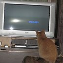 ���� �������, ������, 56 ��� - ��������� 23 ����� 2011 � ������ ���� �������� �����))�