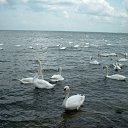 ��������� �������