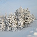 ���� ������, ������, 67 ��� - ��������� 21 ������ 2013 � ������ ���� ����������