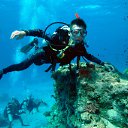 ���� ������, ������ - ��������� 18 ������ 2011 � ������ ���� ����������