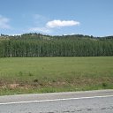 ���� ������, ��������, 59 ��� - ��������� 4 ���� 2012 � ������ ���� ����������