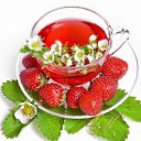 ���� ����/ �������� � ����� ��������/, ����, 64 ���� - ��������� 25 ������ 2011 � ������ ���� ������.�