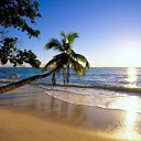  Maxim, , 47  -  10  2013    