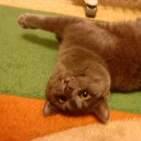 ���� N@dezhd@, ������, 36 ��� - ��������� 27 ���� 2011
