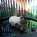 ���� ������, ��������, 48 ��� - ��������� 29 ����� 2012