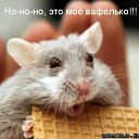 ���� Zeben, ������, 46 ��� - ��������� 10 ���� 2011 � ������ ��������� =)�