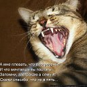 ���� ����, ����������� - ��������� 9 ������� 2010 � ������ ������� ���� �������)�