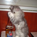 ���� �������, �����-��������� - ��������� 13 ���� 2013