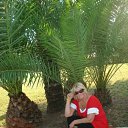 ���� �����, �����-��������� - ��������� 3 ������� 2011 � ������ ��������