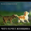 ���� �����, �����������, 60 ��� - ��������� 17 �������� 2011 � ������ �������