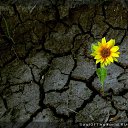 ���� Iuza Par, ���������, 67 ��� - ��������� 2 ������� 2013 � ������ ���� ����������