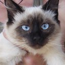 ���� ������, ����, 65 ��� - ��������� 29 ����� 2013 � ������ ���� ��������