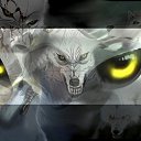 ���� &dagger;���� Wolfa ������&dagger;, ������ ��������, 27 ��� - ��������� 8 ������ 2010 � ������ ������