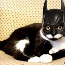 ���� �������, �������� - ��������� 19 ������ 2012 � ������ ���� ����������