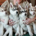 ���� "@����", �����-���������, 25 ��� - ��������� 6 ������� 2010 � ������ ��@��� �@��� �@��Ȼ