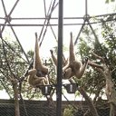 ���� �����, �������, 49 ��� - ��������� 9 ������ 2012 � ������ ���� ����������