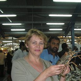 �������, �����������, 65 ���