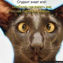 ���� ���� ���������, ������, 39 ��� - ��������� 15 ���� 2012 � ������ �������