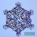 ���� �������, ������, 41 ��� - ��������� 9 ������� 2009 � ������ ���������