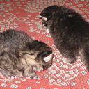 ���� ���������, ������ ��������, 46 ��� - ��������� 28 ������ 2009 � ������ ���� ��������: ������� (31.10.09)�