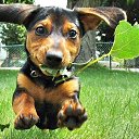 ���� ���� (� ������� - ����� ), ���������, 57 ��� - ��������� 15 �������� 2010 � ������ �"_"�