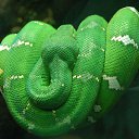 ���� ������, ������� - ��������� 20 ������� 2012 � ������ ������ ��������