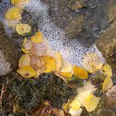 ���� ������� �� �������!!!, ��������� - ��������� 4 ������� 2013 � ������ ���� ����������