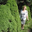 ���� �������, �������, 66 ��� - ��������� 19 ��� 2012 � ������ ���� ����������