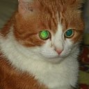 ���� Sergey, ����������, 50 ��� - ��������� 20 ���� 2012