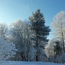 ���� �����, �����-���������, 67 ��� - ��������� 23 ������ 2013 � ������ ����� 2013 ����