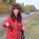 ���� ����, ������ - ��������� 20 �������� 2011 � ������ ���� ����������