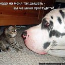 ���� E��������, ������, 59 ��� - ��������� 26 ���� 2013 � ������ ������ ��������