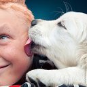  Natalia, , 62  -  17  2012   