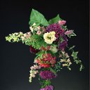 ���� ����� - ���������� ��������!!!, �����������, 56 ��� - ��������� 16 ������ 2010 � ������ ������ۻ