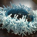  , -, 37  -  23  2010   ***