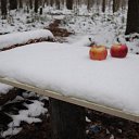 ������ �� ����� �� ������� ������� ����