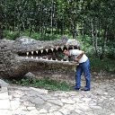 ���� ������, ���������, 58 ��� - ��������� 1 ������� 2013 � ������ ���� ����������