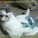 ���� ������, �������� - ��������� 14 ������� 2011 � ������ �����