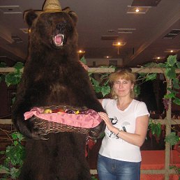 ���� ������, ������, 49 ��� - ��������� 8 ���� 2013