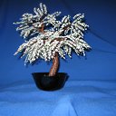 ���� ����, �����������, 63 ���� - ��������� 18 ������ 2010 � ������ ���� ���������